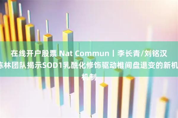 在线开户股票 Nat Commun丨李长青/刘铭汉/陈林团队揭示SOD1乳酰化修饰驱动椎间盘退变的新机制